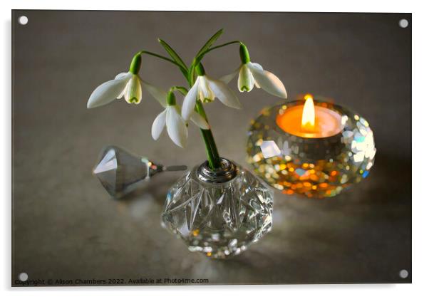 Snowdrops and Candlelight  Acrylic by Alison Chambers