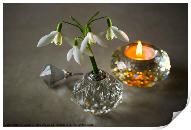 Snowdrops and Candlelight  Print by Alison Chambers