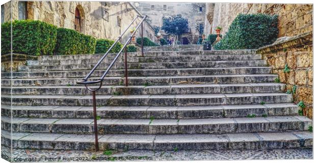 Steps To Palma Cathedral Canvas Print by Peter F Hunt