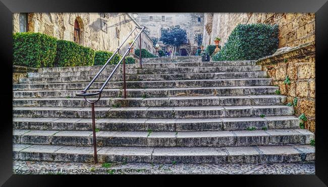 Steps To Palma Cathedral Framed Print by Peter F Hunt