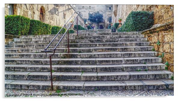 Steps To Palma Cathedral Acrylic by Peter F Hunt