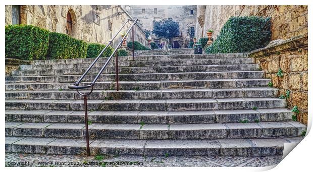 Steps To Palma Cathedral Print by Peter F Hunt