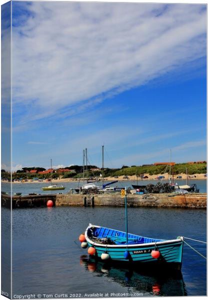 Harbour Beadnell Bay Northumberland Canvas Print by Tom Curtis