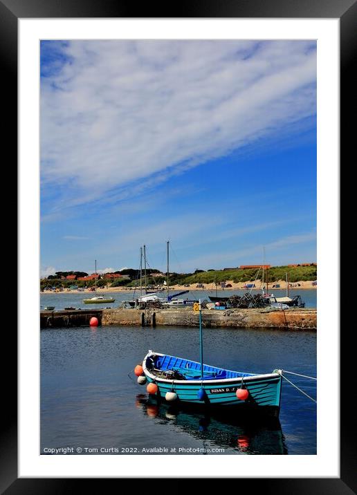 Harbour Beadnell Bay Northumberland Framed Mounted Print by Tom Curtis