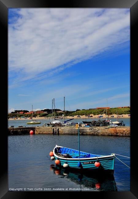 Harbour Beadnell Bay Northumberland Framed Print by Tom Curtis