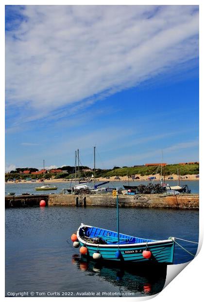 Harbour Beadnell Bay Northumberland Print by Tom Curtis