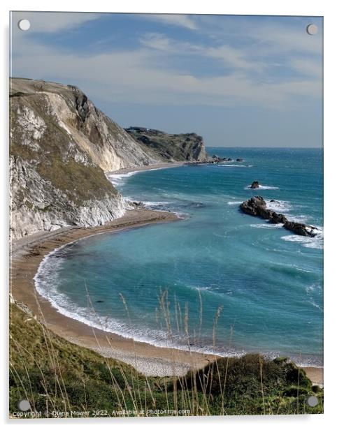 The Beach Man O' War Bay Dorset Acrylic by Diana Mower