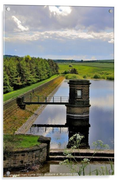  Ingbirchworth Reservoir Acrylic by Tom Curtis