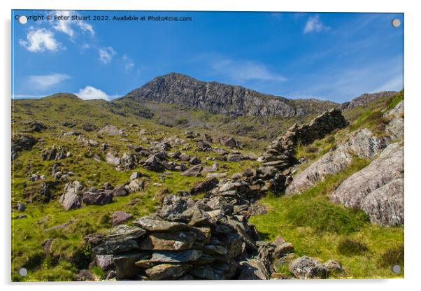 Moel Hebog is a mountain in Snowdonia, north Wales Acrylic by Peter Stuart