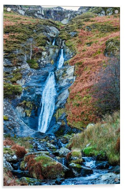 Rhaeadr Bach Waterfall Abergwyngregyn Acrylic by Pearl Bucknall