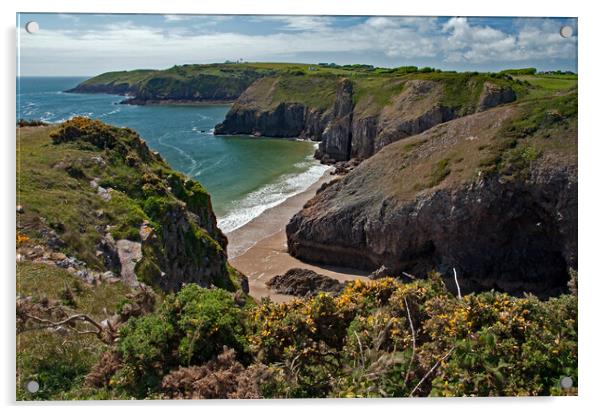 Pembrokeshire Coast Path (2) Acrylic by Geoff Storey