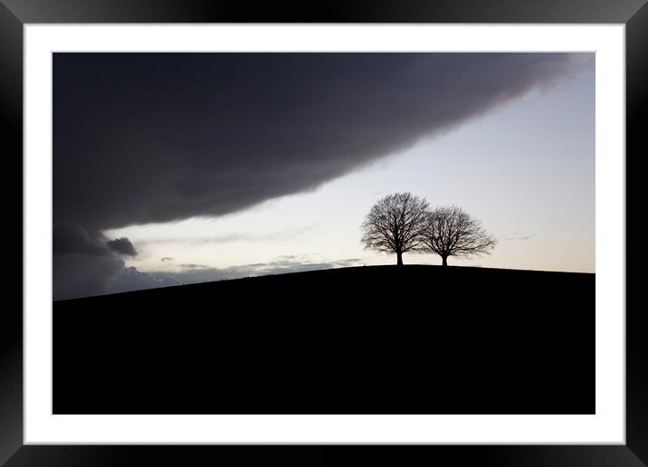 Two mature trees on a hill in silhouette brace for the imminent storm Framed Mounted Print by Gordon Dixon