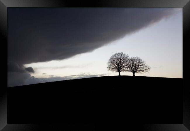 Two mature trees on a hill in silhouette brace for the imminent storm Framed Print by Gordon Dixon