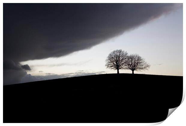 Two mature trees on a hill in silhouette brace for the imminent storm Print by Gordon Dixon