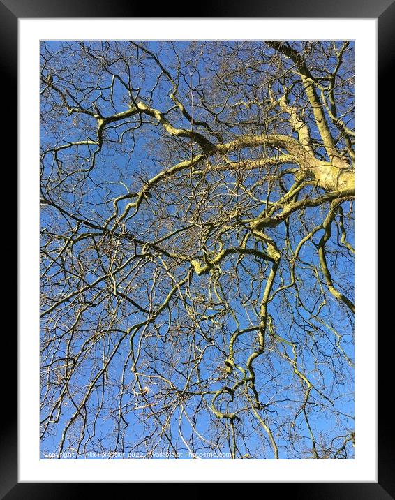 Leafless tree Framed Mounted Print by Alix Forestier