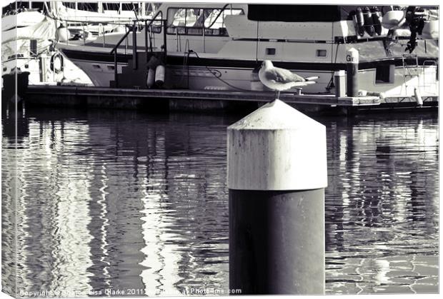 gull waiting to set sail Canvas Print by Sharon Lisa Clarke
