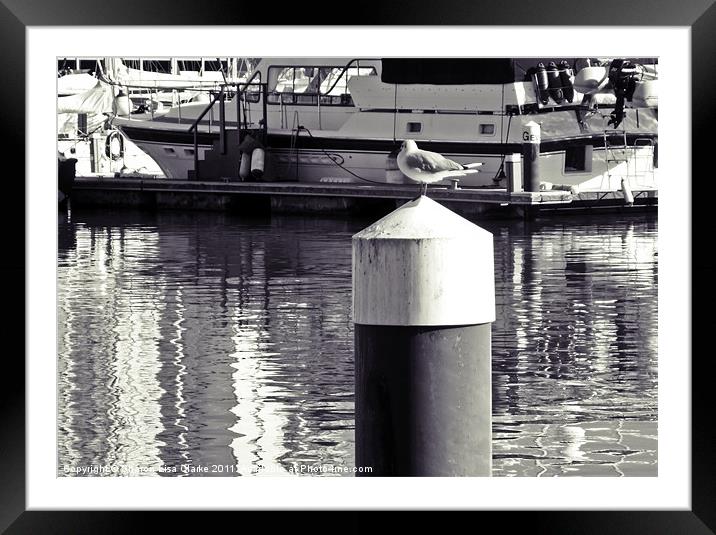 gull waiting to set sail Framed Mounted Print by Sharon Lisa Clarke