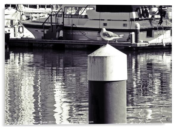 gull waiting to set sail Acrylic by Sharon Lisa Clarke