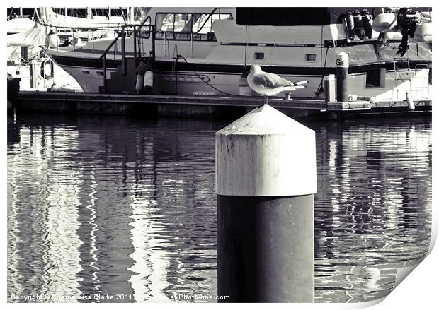 gull waiting to set sail Print by Sharon Lisa Clarke