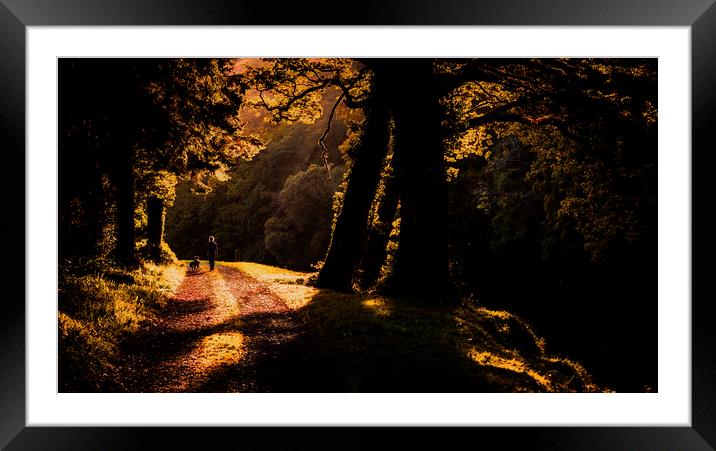 Autumn Walk along the Tamar River Framed Mounted Print by Maggie McCall