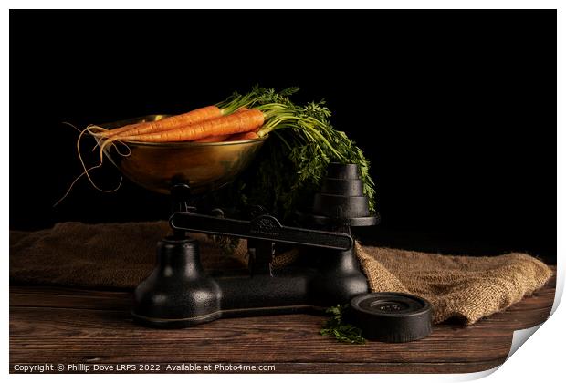 Weighing the carrots Print by Phillip Dove LRPS