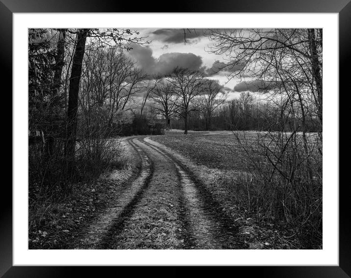 Dirt Road through Field and Forest Monochrome Framed Mounted Print by Dietmar Rauscher