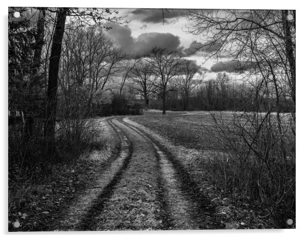Dirt Road through Field and Forest Monochrome Acrylic by Dietmar Rauscher