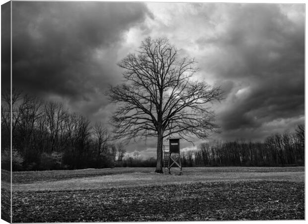 Bare Tree and Perch in Winter Landscape Monochrome Canvas Print by Dietmar Rauscher