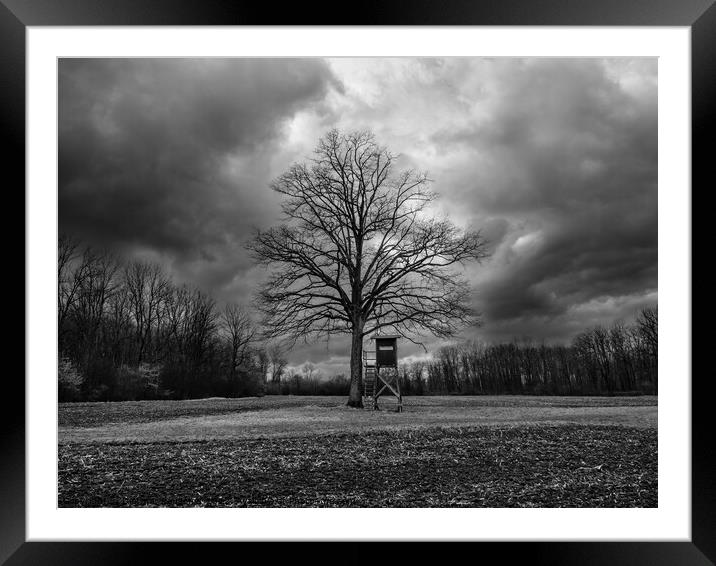 Bare Tree and Perch in Winter Landscape Monochrome Framed Mounted Print by Dietmar Rauscher