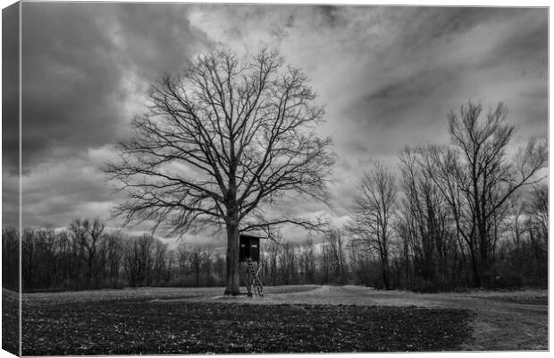 Bare Tree and Perch in Winter Landscape Monochrome Canvas Print by Dietmar Rauscher