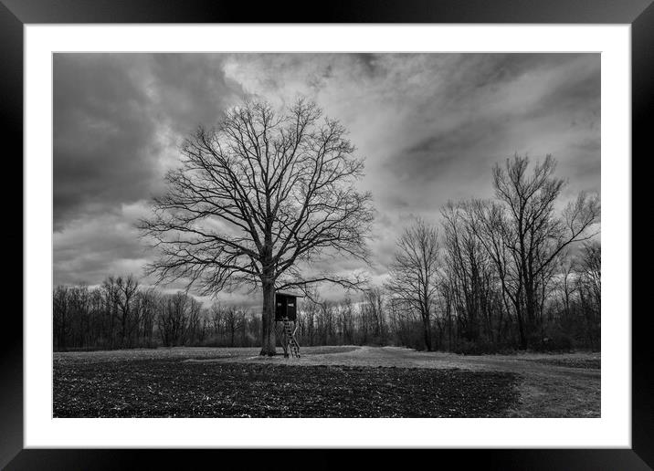 Bare Tree and Perch in Winter Landscape Monochrome Framed Mounted Print by Dietmar Rauscher