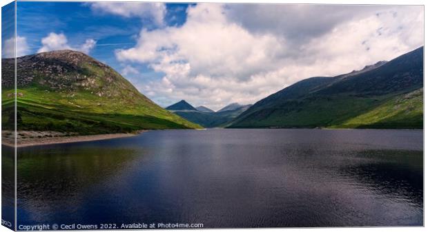 The beautiful Mourne Mountains Canvas Print by Cecil Owens