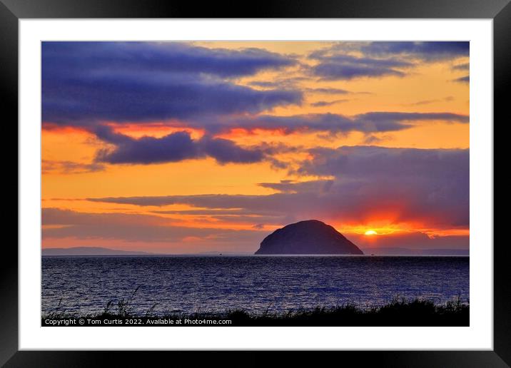 Sunset at Ailsa Craig Framed Mounted Print by Tom Curtis