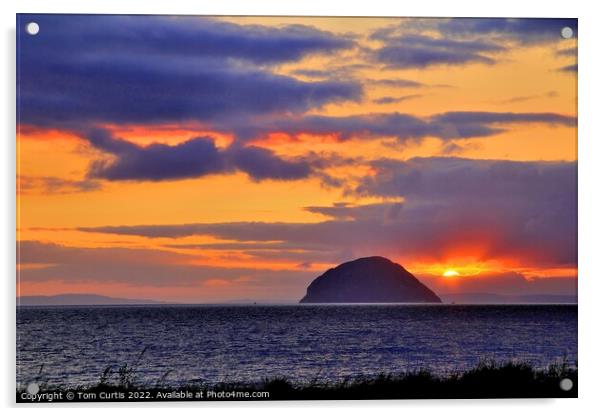 Sunset at Ailsa Craig Acrylic by Tom Curtis