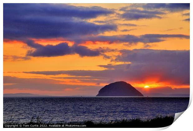 Sunset at Ailsa Craig Print by Tom Curtis