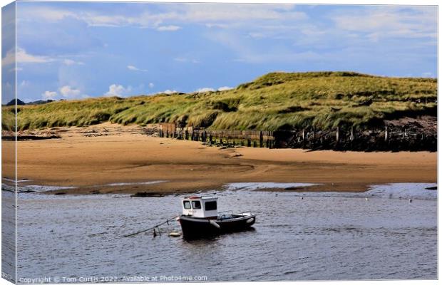 Amble Harbour Northumberland Canvas Print by Tom Curtis