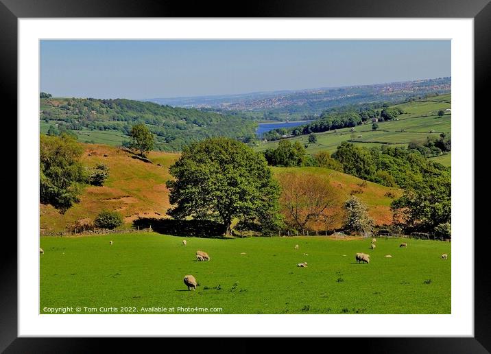 Farmland near Bradfield Moors Framed Mounted Print by Tom Curtis