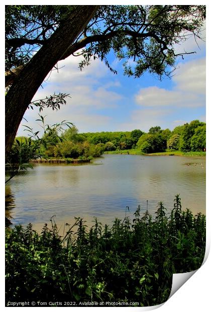 Dearne Valley Park Barnsley Print by Tom Curtis