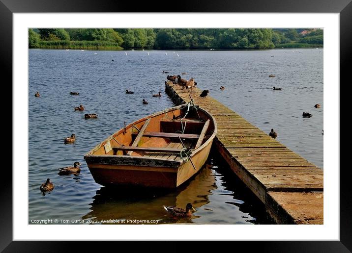 Rowing Boat  Hornsea Mere Framed Mounted Print by Tom Curtis