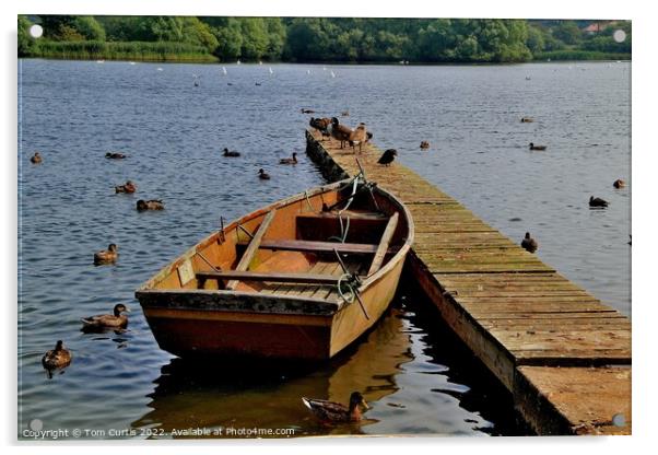 Rowing Boat  Hornsea Mere Acrylic by Tom Curtis
