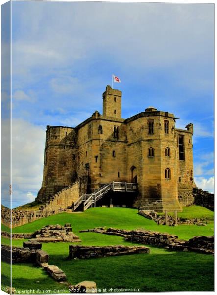 Warkworth Castle Northumberland Canvas Print by Tom Curtis