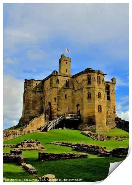 Warkworth Castle Northumberland Print by Tom Curtis