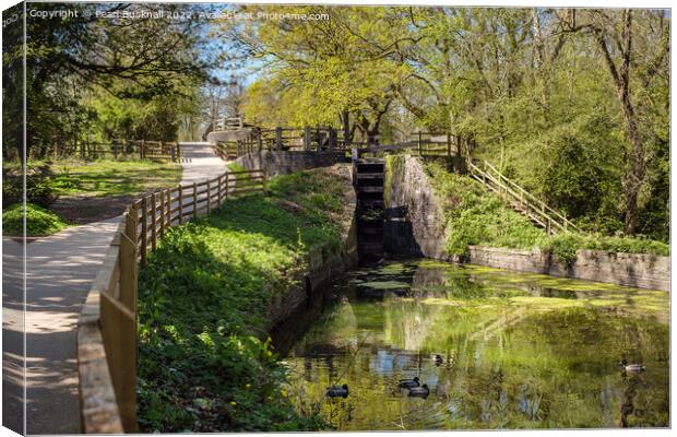 The Fourteen Locks on Monmouthshire Canal Canvas Print by Pearl Bucknall