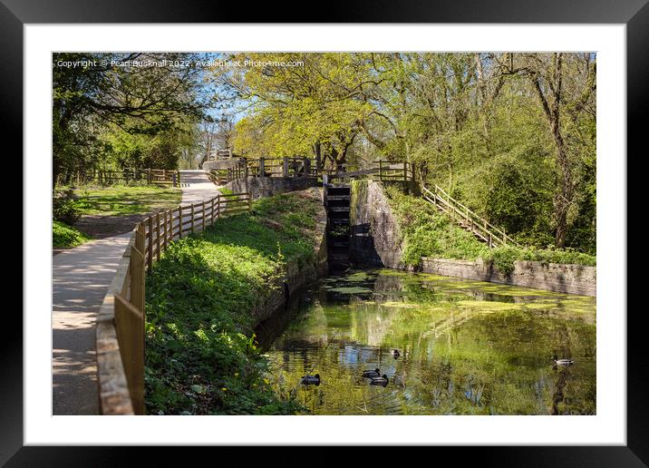 The Fourteen Locks on Monmouthshire Canal Framed Mounted Print by Pearl Bucknall