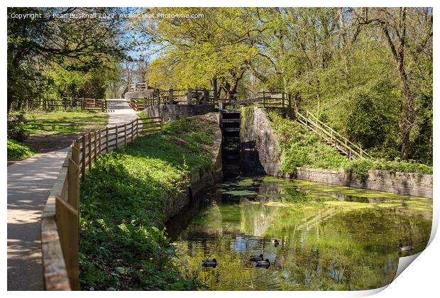 The Fourteen Locks on Monmouthshire Canal Print by Pearl Bucknall