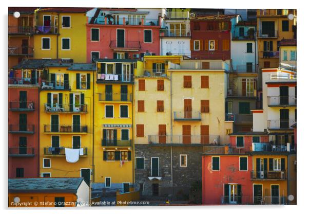 Manarola village, colorful pattern of houses. Cinque Terre Acrylic by Stefano Orazzini