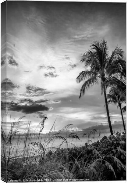 BONITA BEACH Monochrome Sunset Canvas Print by Melanie Viola