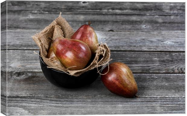 Raw pears inside and outside of bowl on aged wooden table in clo Canvas Print by Thomas Baker
