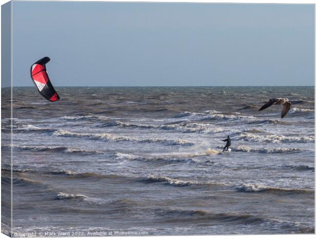 Two Sea Surfers. Canvas Print by Mark Ward