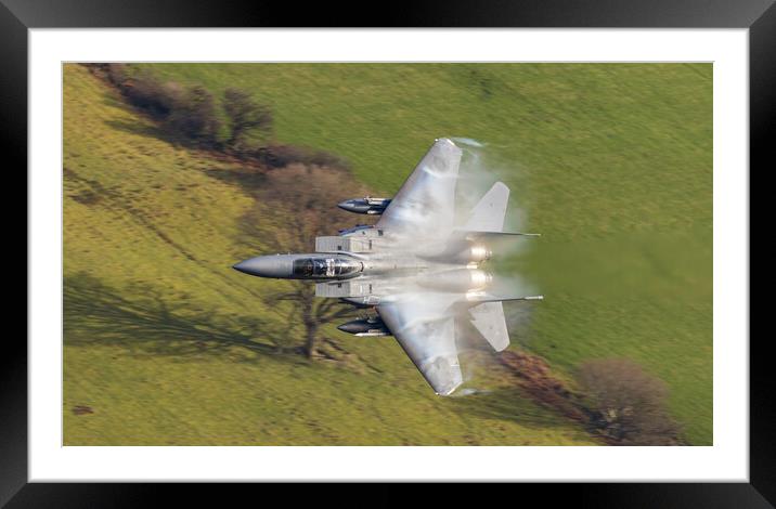 RAF Lakenheath F-15 E in the weeds Framed Mounted Print by Rory Trappe